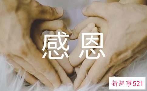 表达感恩的句子