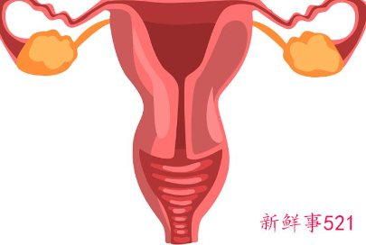 女性一般多大年纪卵巢会衰退