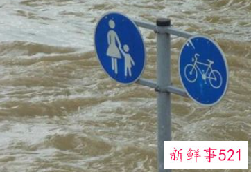 梦见大雨水淹马路