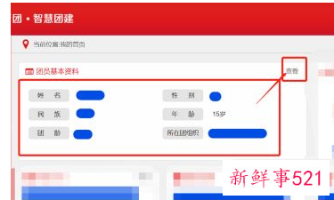 群众填成了共青团员政审有影响吗