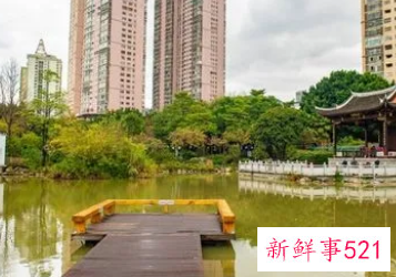 公园起名字技巧