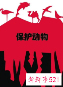 保护野生动物的活动主题