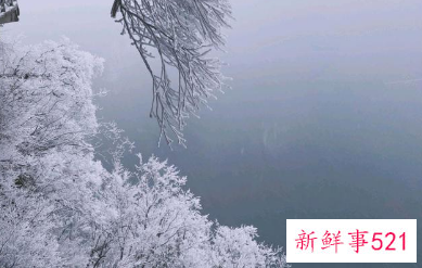 张家界雾凇什么时候有