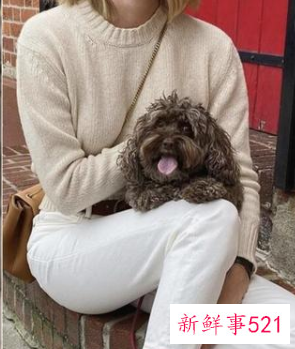 低圆领毛衣内搭配