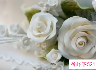 白色象征爱情的寓意