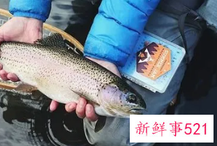 女人梦到吃熟鱼是什么征兆