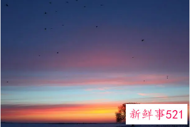 代表美好的名字