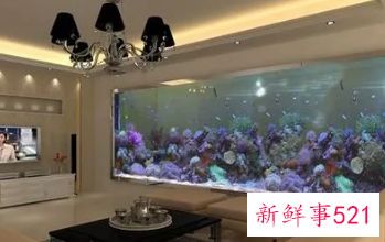 客厅鱼缸摆放西北方向