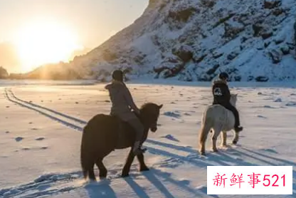 梦见雪地骑马是什么意思