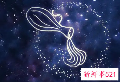 水瓶座本命年需要注意什么