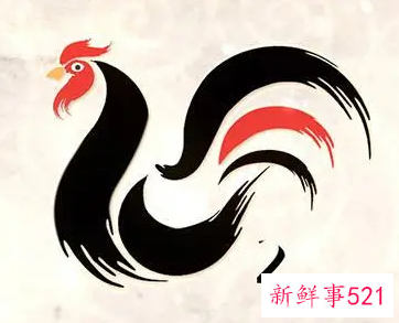 81年属鸡的手机尾号