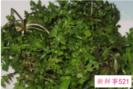 春季适合吃的蔬菜视频