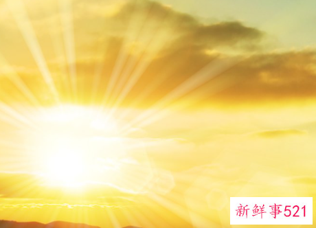 事业成功的例子