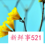 五十岁最漂亮的女人头像