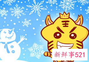 最命苦的虎几月出生