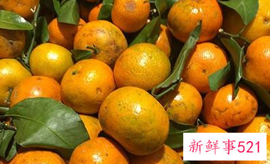 桔子的营养与功效