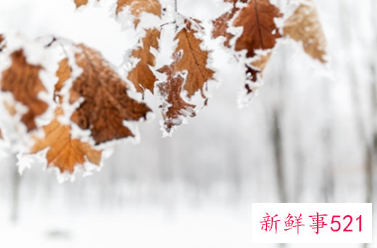 男人出轨怎么样才能挽回女人的心