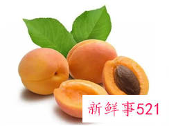 杏子的功效与作用