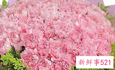 妈妈生日送几朵康乃馨