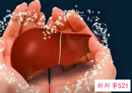 养肝护肝的好方法