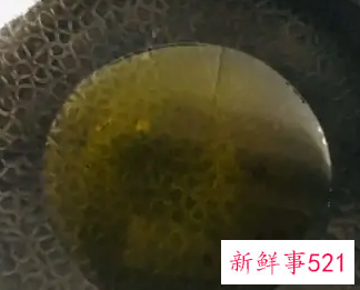 黄磊老师同款葱油拌面做法