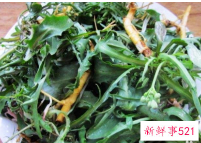 春季适合吃的蔬菜视频