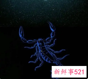 怎么看天蝎女喜不喜欢你