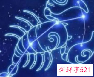 属猪天蝎女性格分析