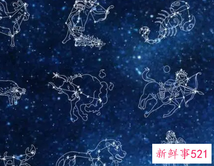 逻辑思维智商高星座