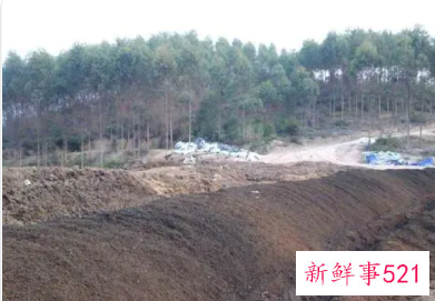 冬季鸡粪如何堆肥发酵