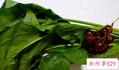 适合小学生聚餐的食物