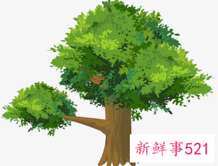 英国男子家中树因越界被邻居锯掉一半