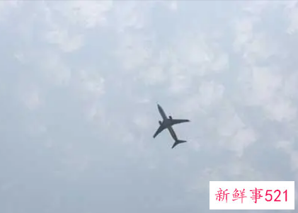 梦见飞机飞得很低离我很近