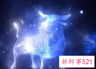 金牛座适合做律师吗
