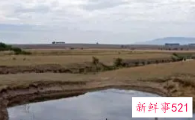 梦见山上有水坑