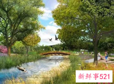 公园起名字技巧