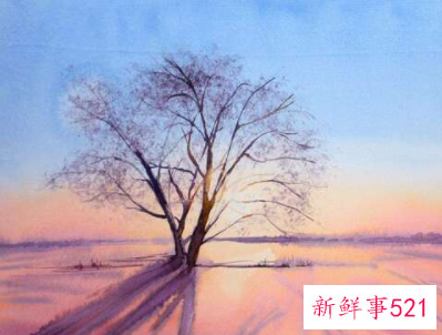 梦见波浪涌向脚下有什么征兆