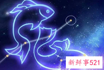 错爱双鱼座的后果