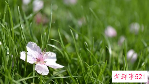 魅力女人具备哪些条件