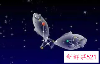 双鱼座到底是笨还是聪明