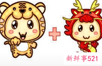 男虎女龙相配婚姻会怎么样