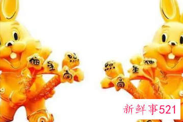 属兔人戴什么最旺财