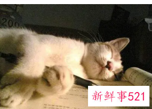 浑身无力想睡觉是怎么回事