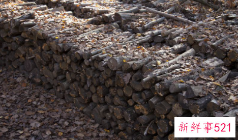 冬季鸡粪如何堆肥发酵