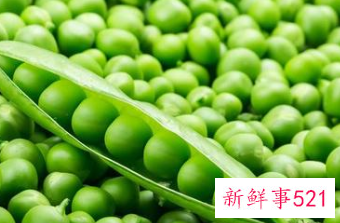 豌豆的蛋白质含量多少