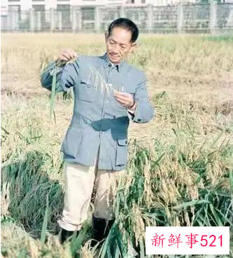 袁隆平遗骨今日安葬在长沙