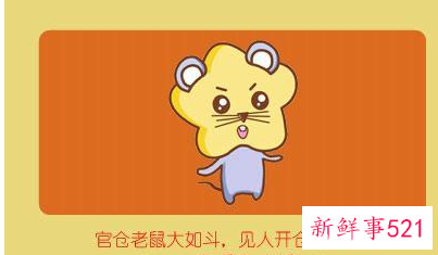 十二生肖吉祥颜色和数字