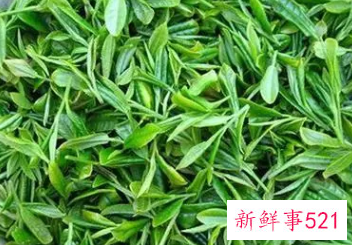 崂山绿茶的功效