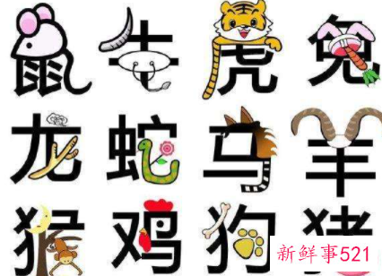 十二生肖所有属性大全