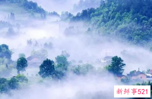 梦见迷雾有什么征兆